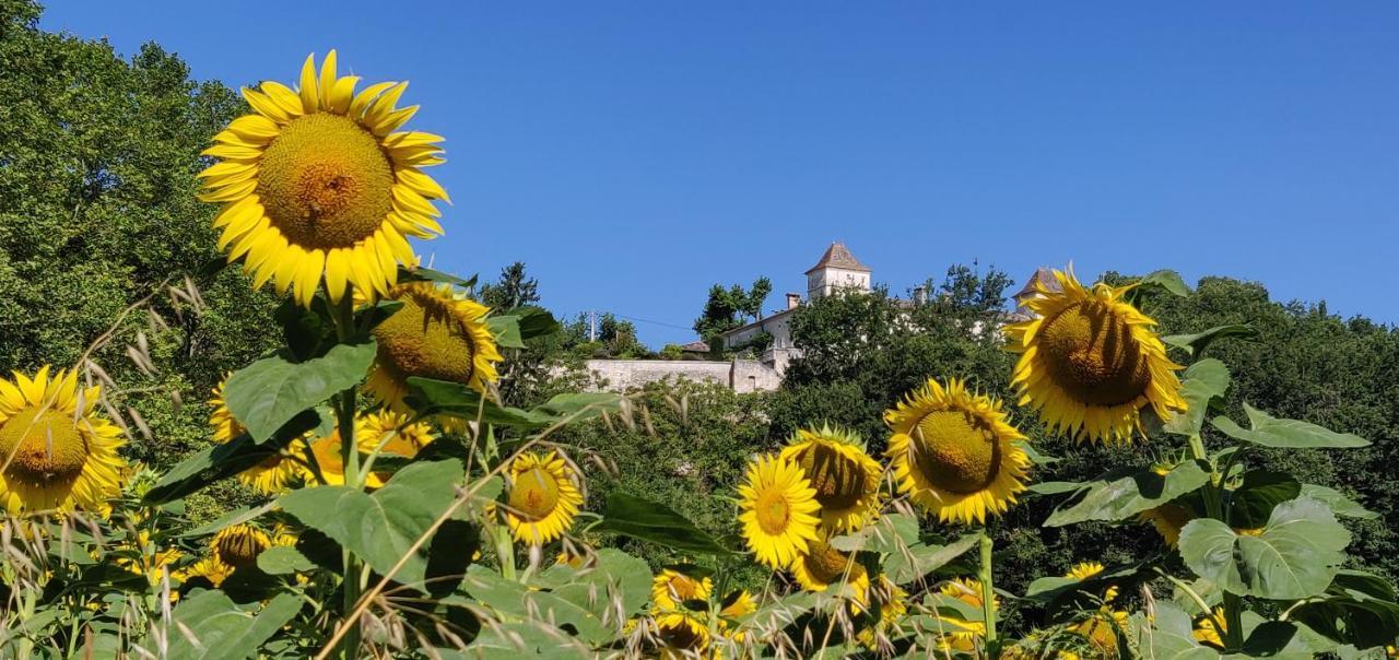 Vila Manoir Le Bourg, Touffailles Exteriér fotografie
